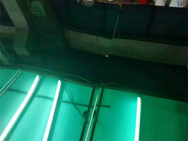 无指纹镜面翡翠绿